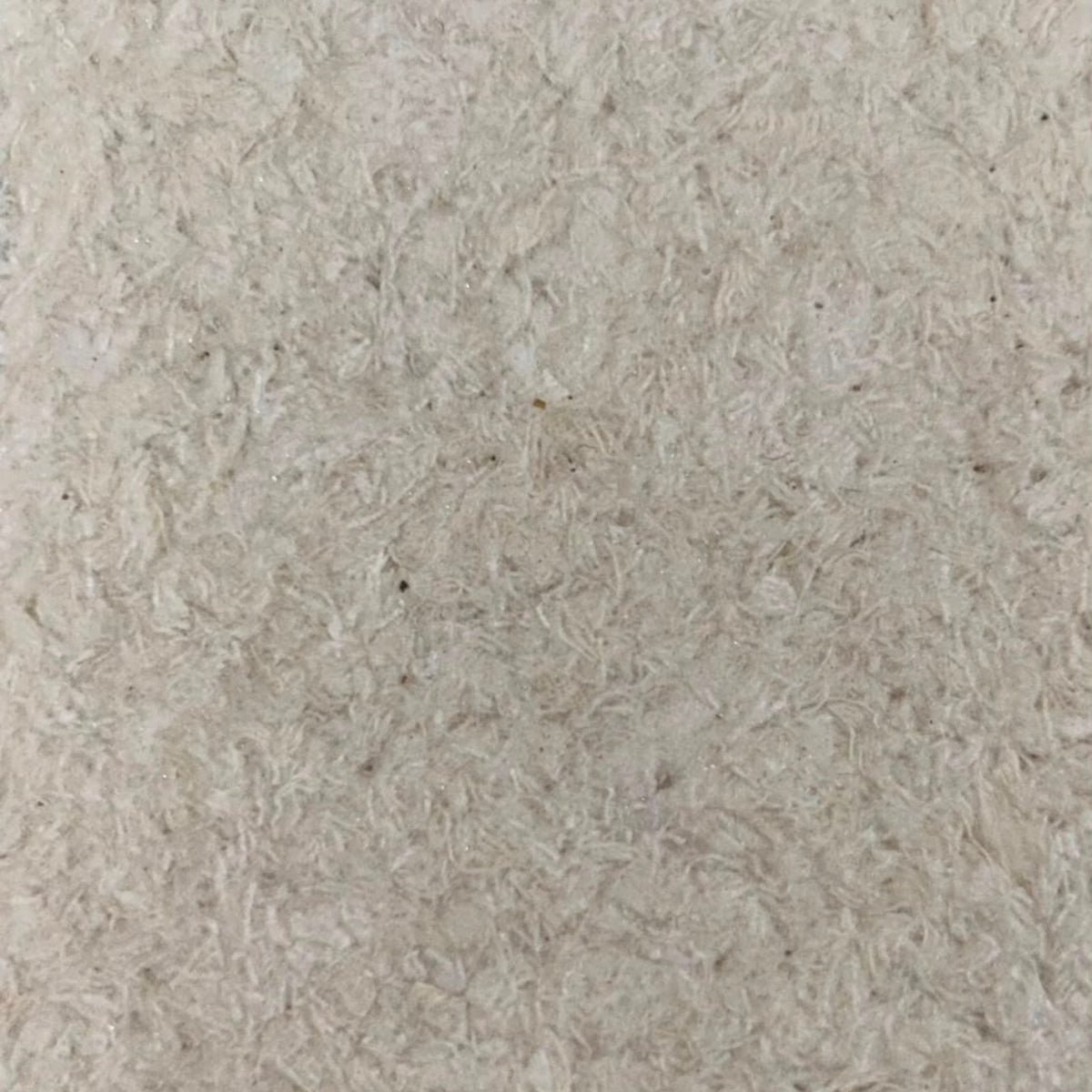 Coloris CA13 Albâtre — échantillon Coton Art
